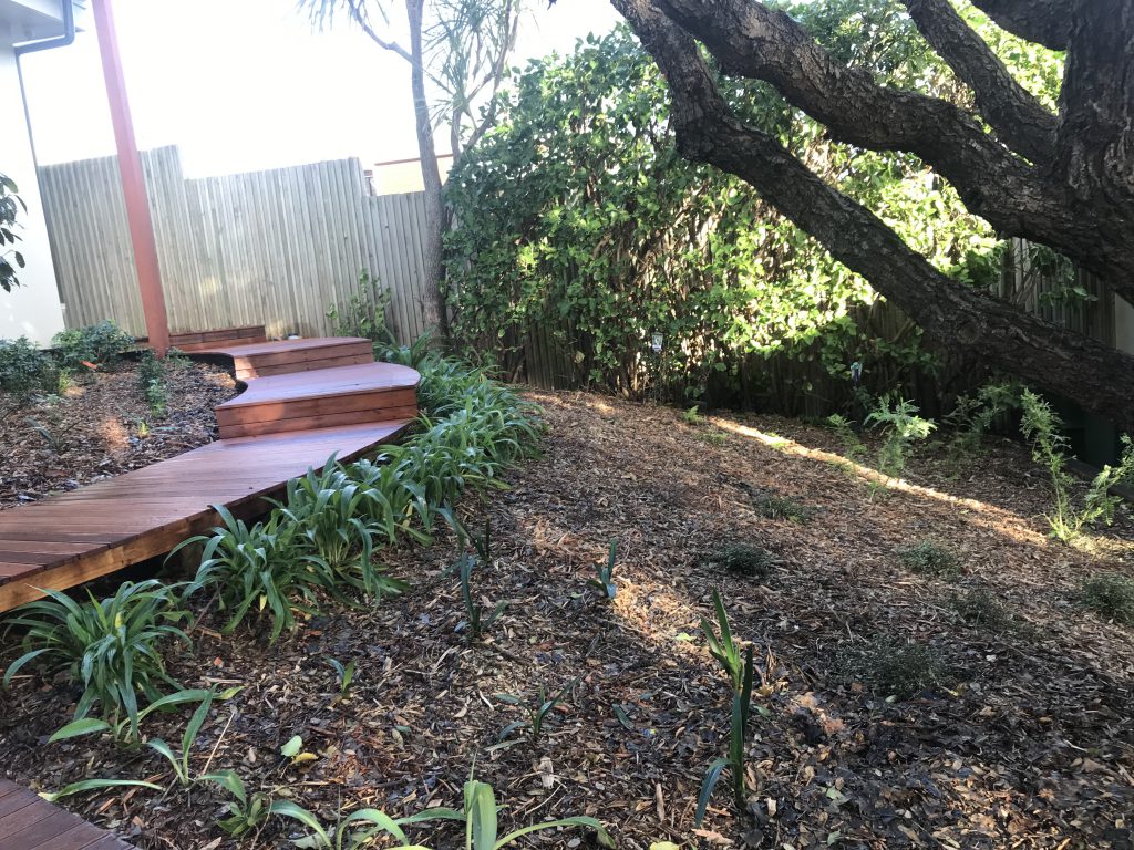 Timber garden steps winding up under a mature tree
