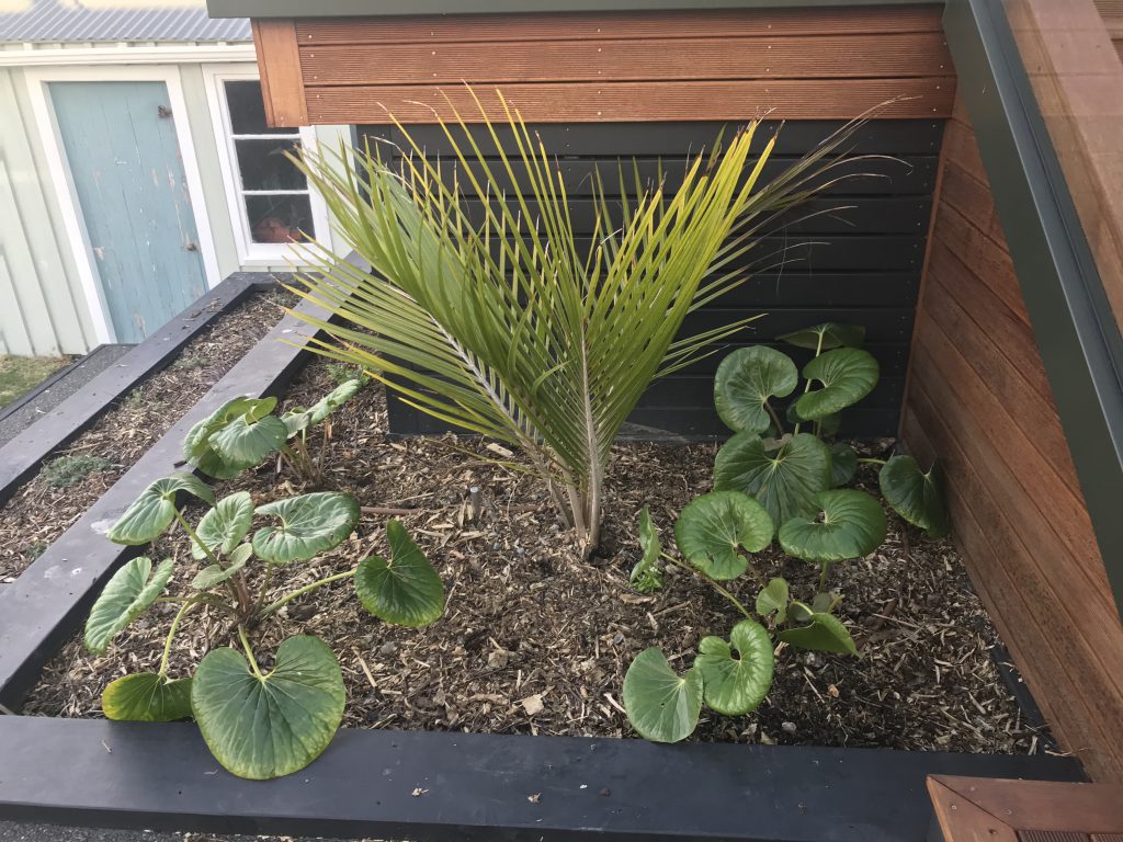 Wellington garden by Wellington Gardens